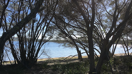 Hobart Beach at Wallagoot Lake Bournda National Park