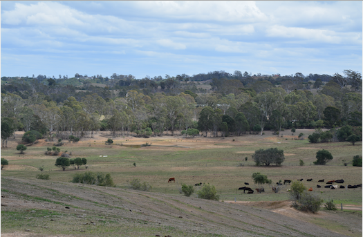 Varroville