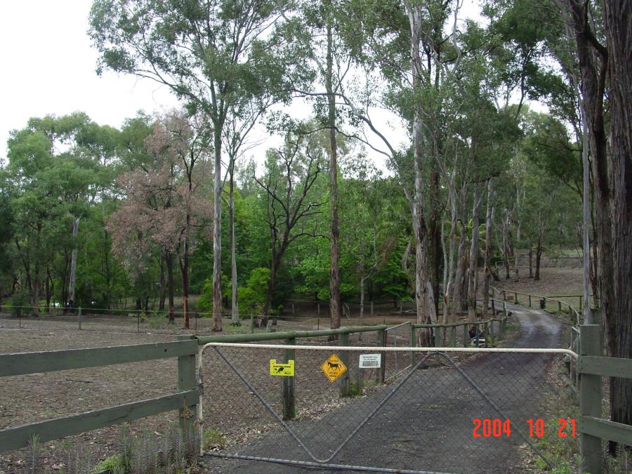 Statement of Heritage Impact, 314 Annangrove Road, Rouse Hill. October 2004