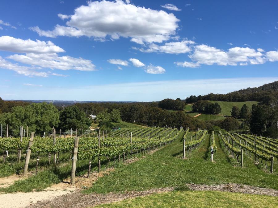 The ICOMOS National Scientific Committee on Cultural Landscapes and Routes held its annual meeting in the Barossa Valley in November